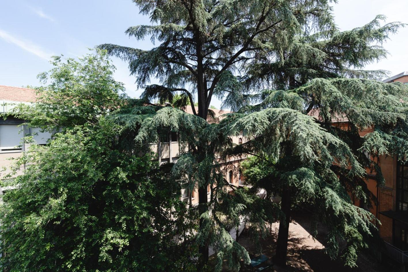La Favolosa Casa Di Amelie Bologna Exterior foto
